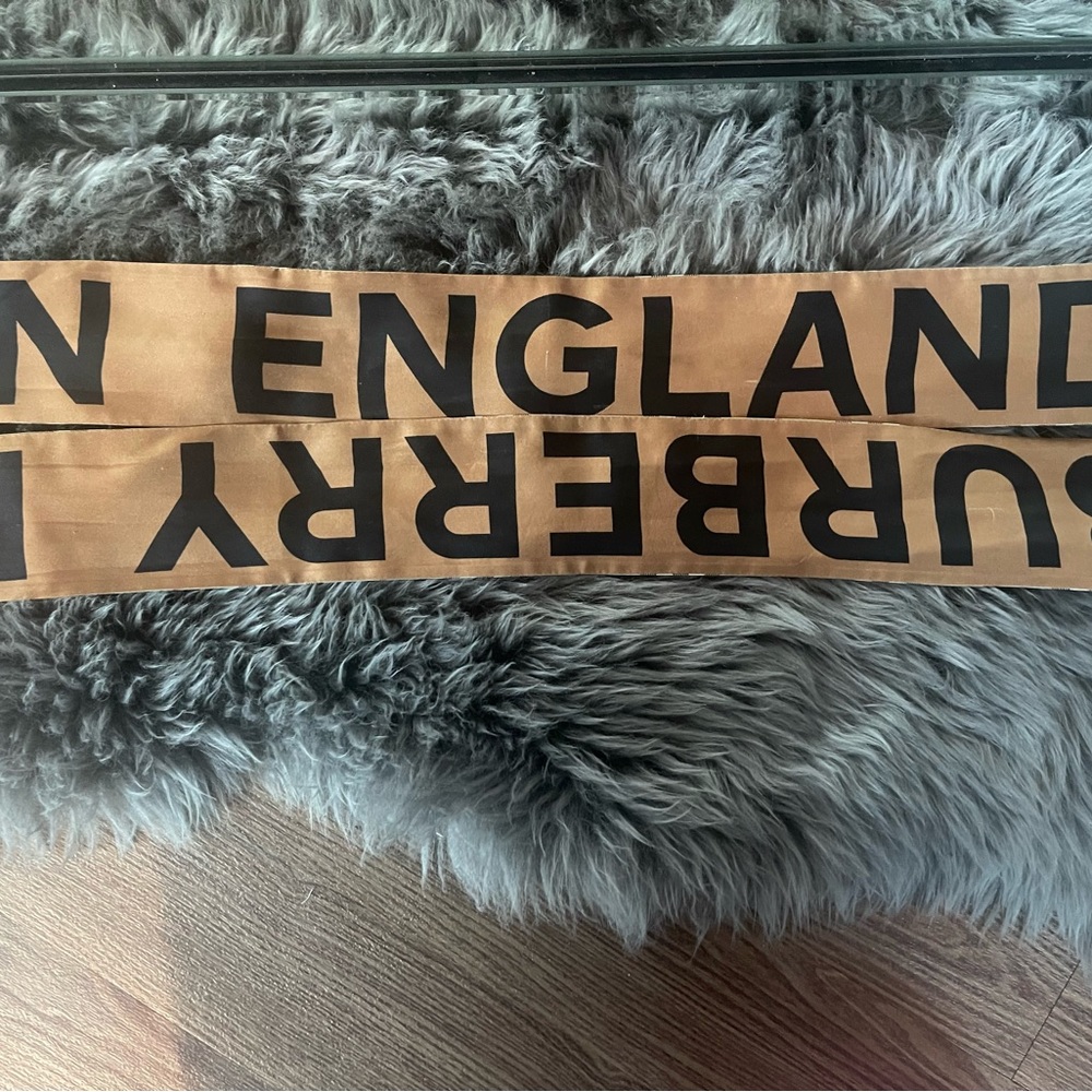 Burberry Silk Scarf 🧣